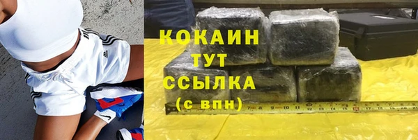 гидра Кинешма