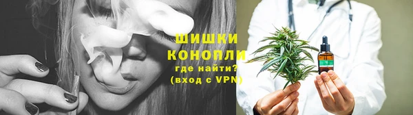 гидра Кинешма