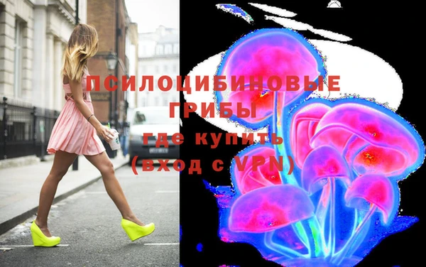 гидра Кинешма