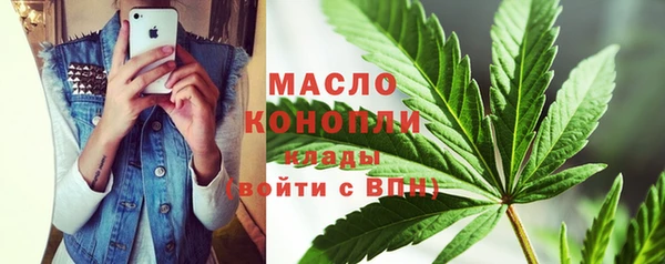 гидра Кинешма