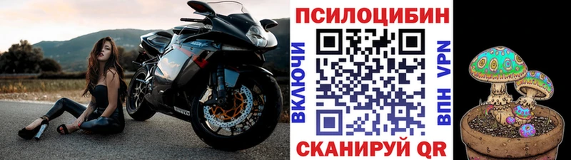Псилоцибиновые грибы Psilocybine cubensis  Купить закладки  Островной 